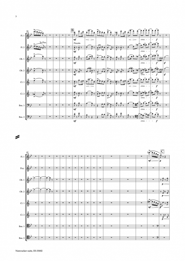 Tchaikovsky: Complete Nutcracker suite, woodwind reduction. Parts only. - Image 4