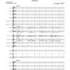 Verdi, Giuseppe: Nabucco overture - Image 3